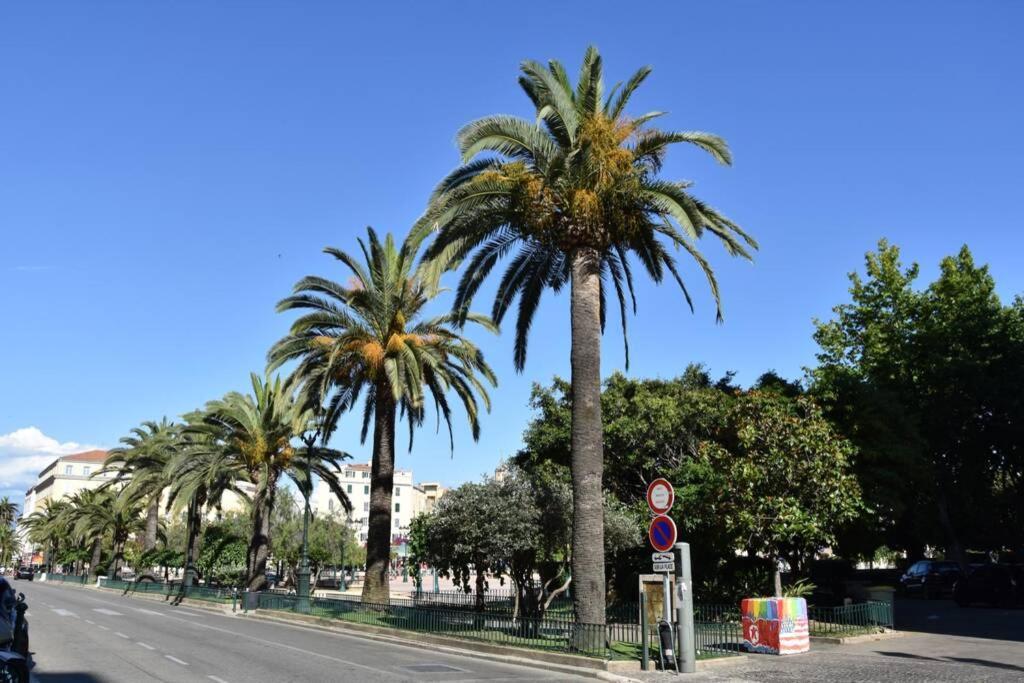 Superbe En Plein Coeur D'ajaccio * Ajaccio (Corsica)