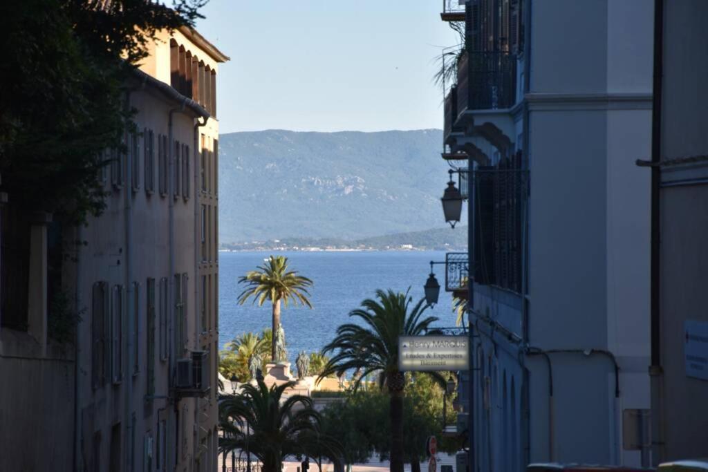 Superbe En Plein Coeur D'ajaccio Apartment *